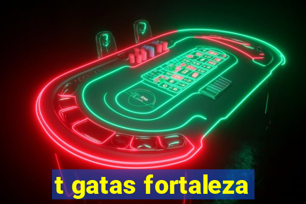 t gatas fortaleza